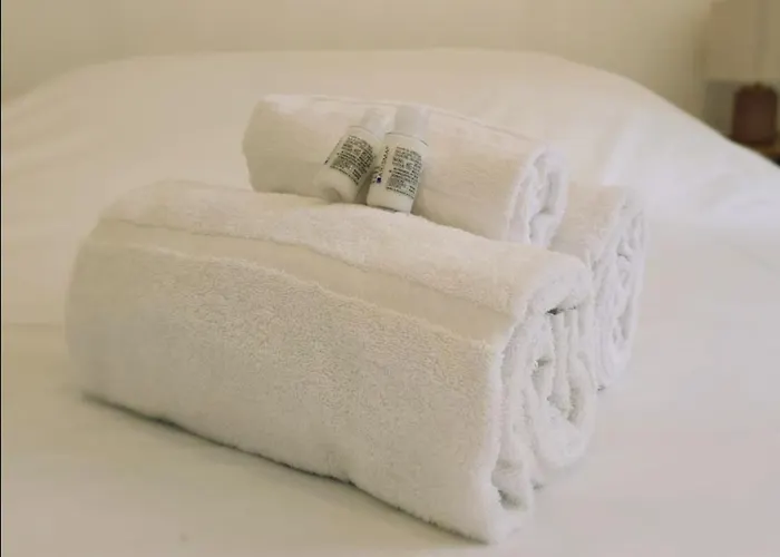 Capitole By Yume * 圖盧茲